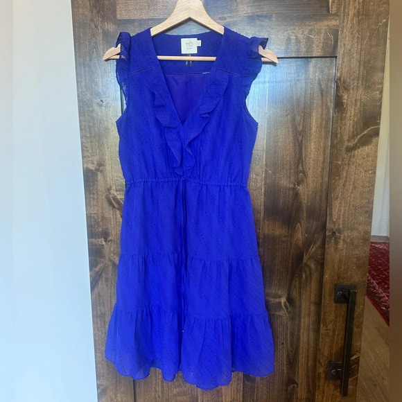 HD in Paris Size 0 Royal Blue Swiss Dot Sleeveless Mini Dress Tiered Ruffle - Picture 1 of 7
